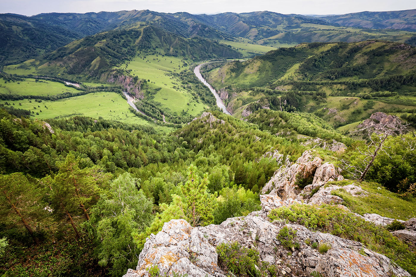 Чинетинский заказник, Алт. край