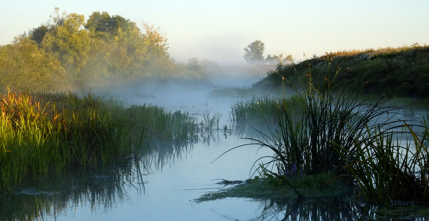 Туман на речке.