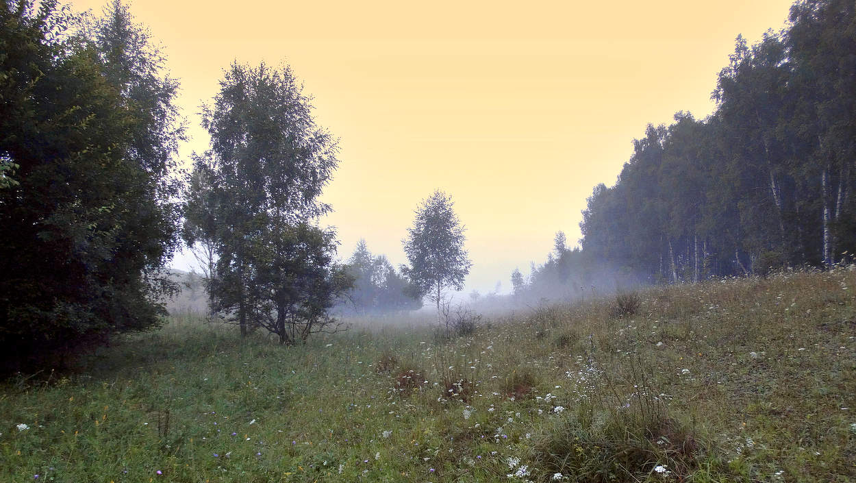 Утренний туман сползает в низину
