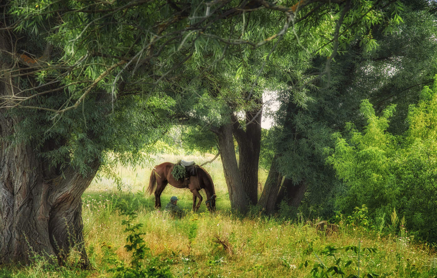 Усталый пастух