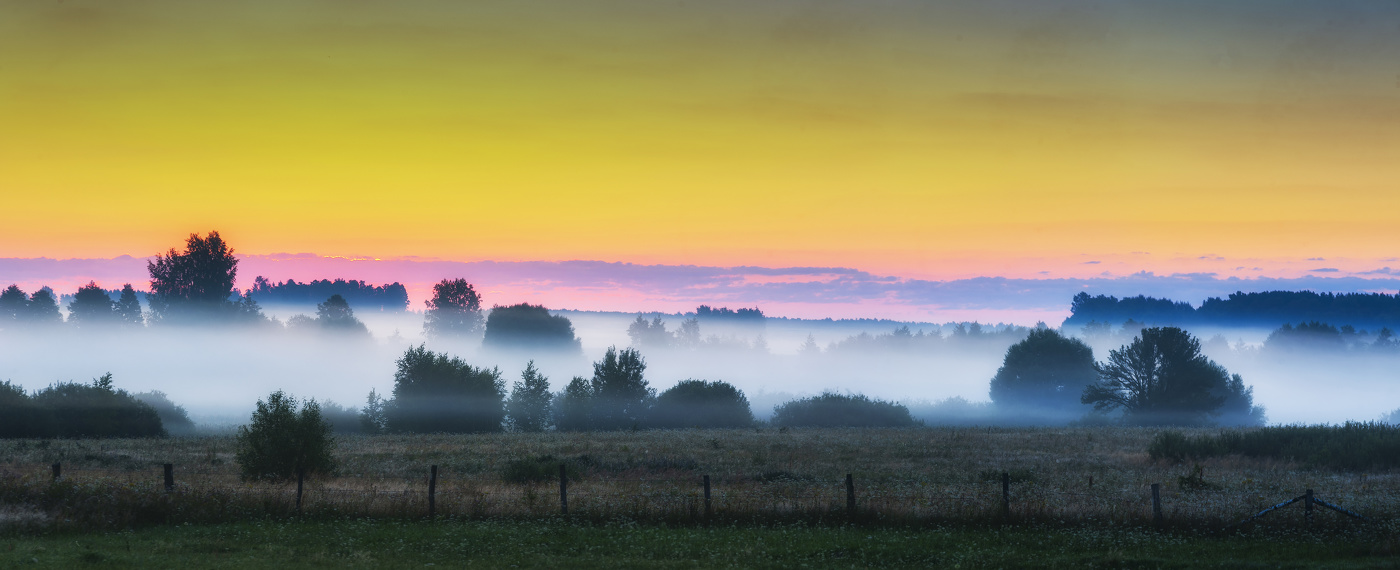 Синий туман