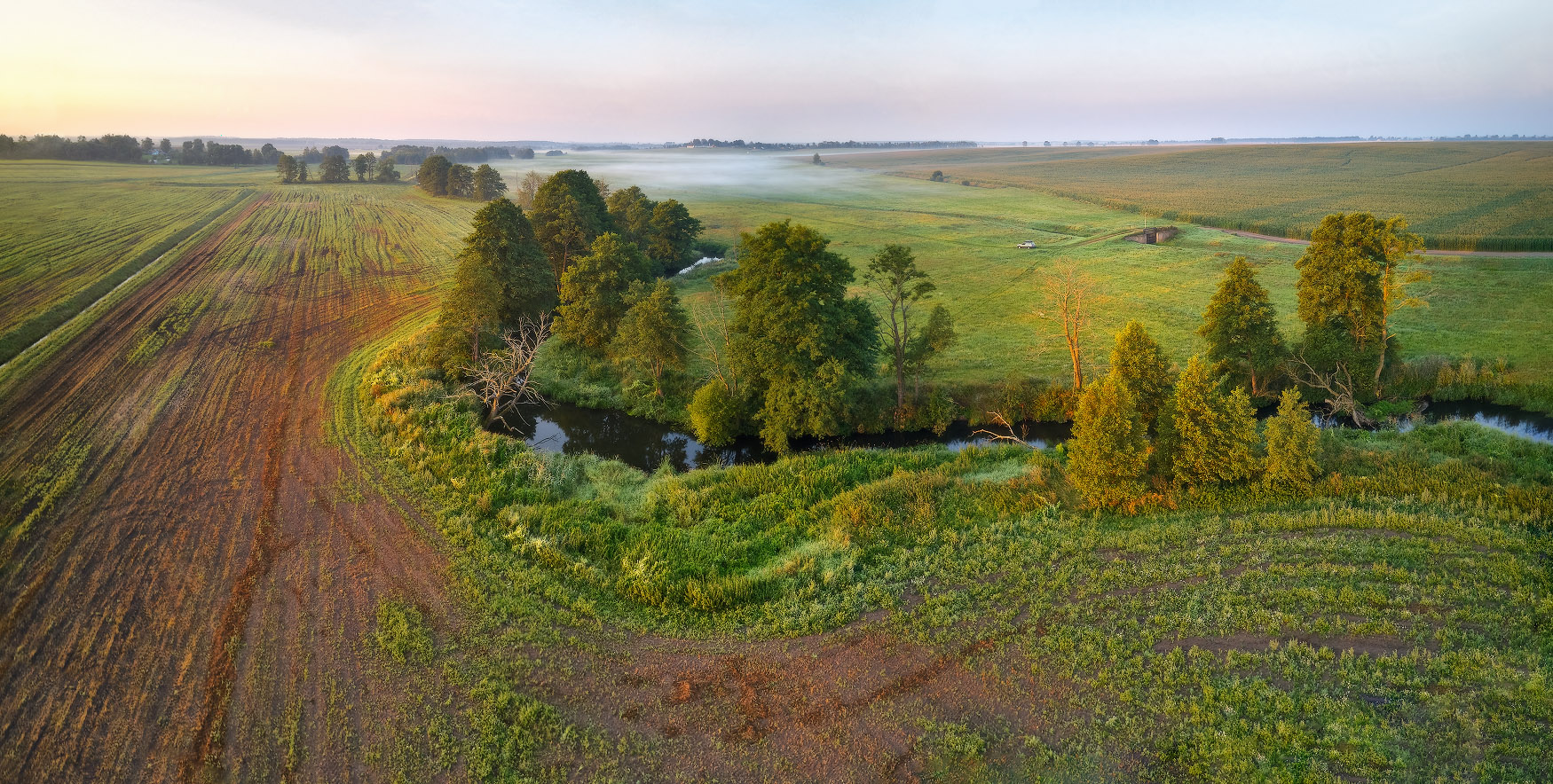 Начало августа на Птичи