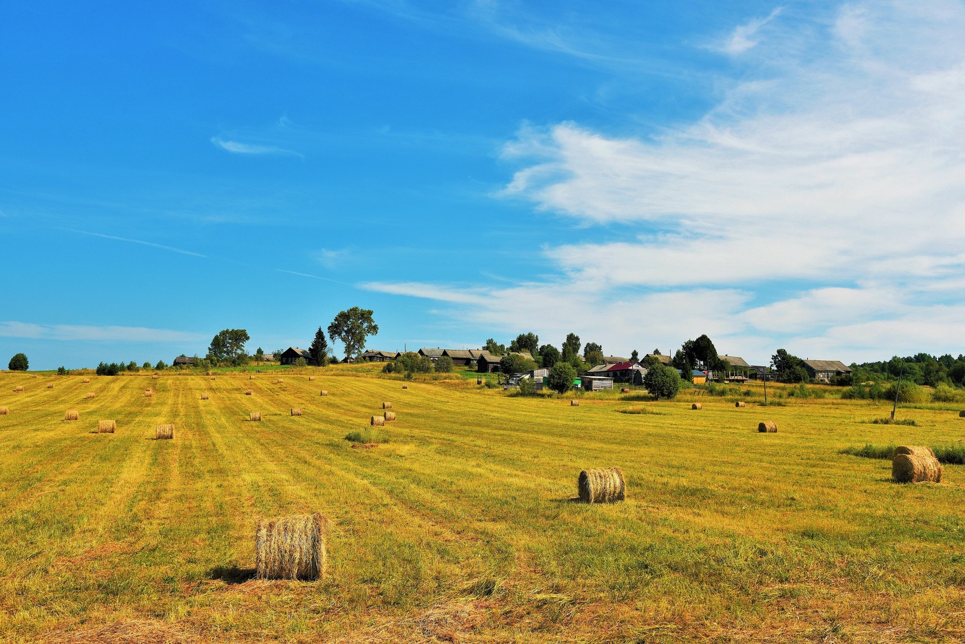 "Август - еще не осень, август - уже не лето..."