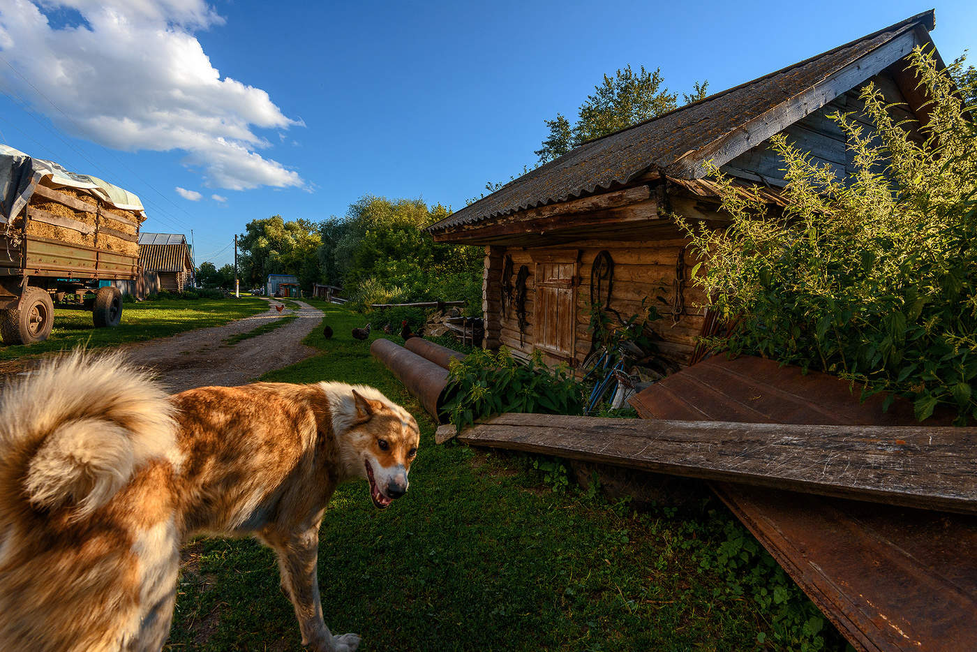 На окраине...