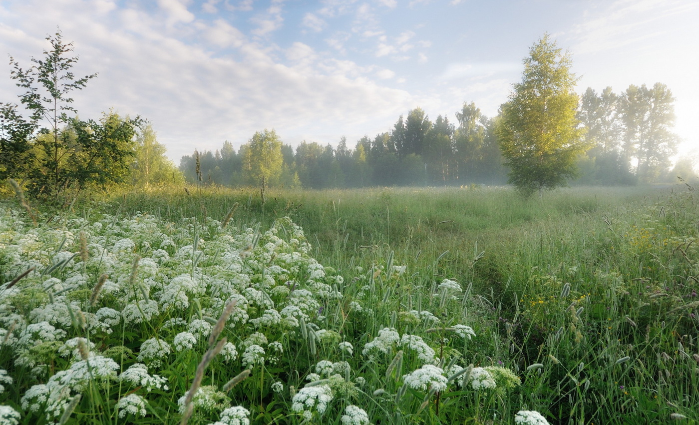 Пробуждаясь.