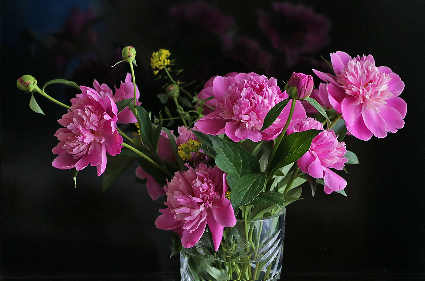 Букет пионов