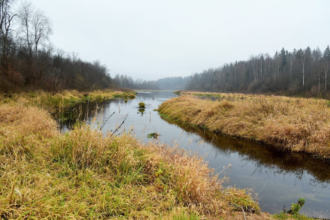 "Теперь моя пора, из годовых времен я рад лишь ей одной..."