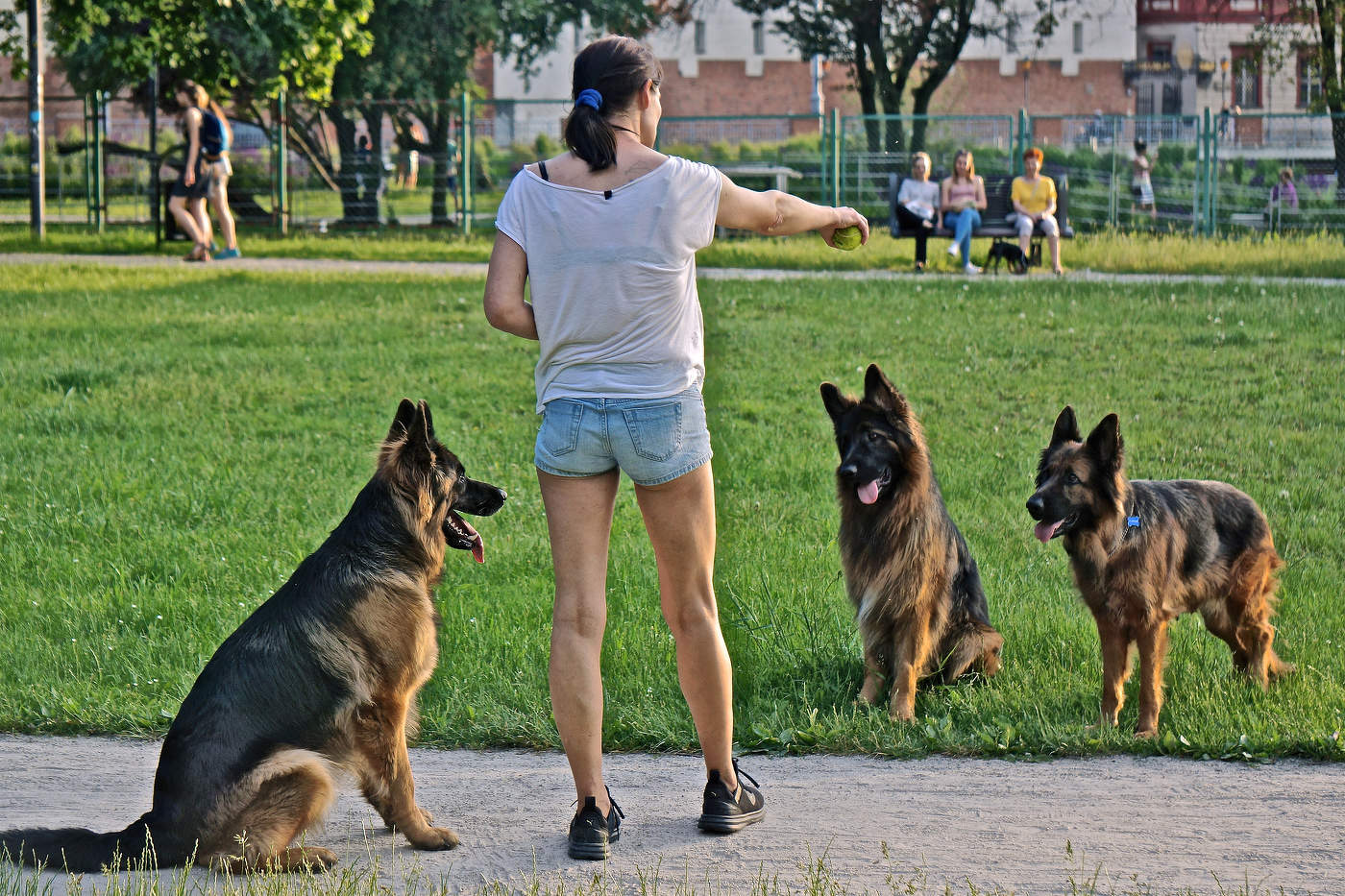 Сzekać! — Хозяйка, ты чё!