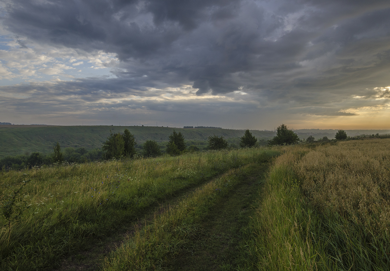 Далёкий гром. Черепянь