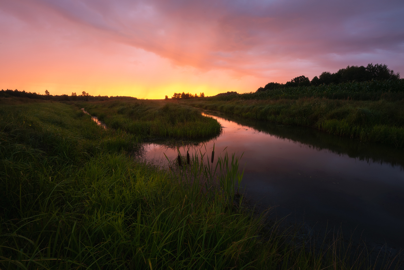 Краски дождливого утра
