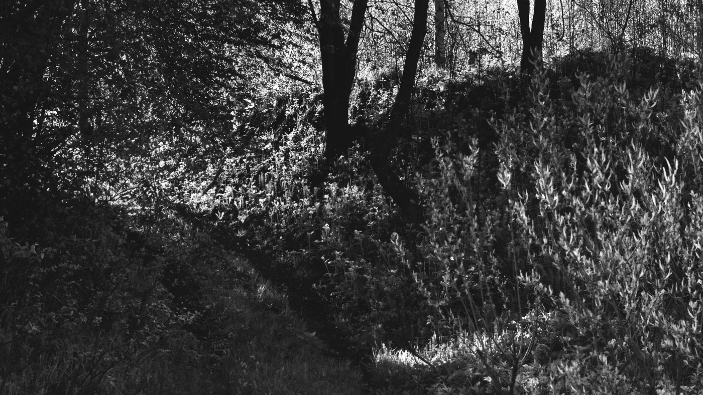 Жизнь вокруг