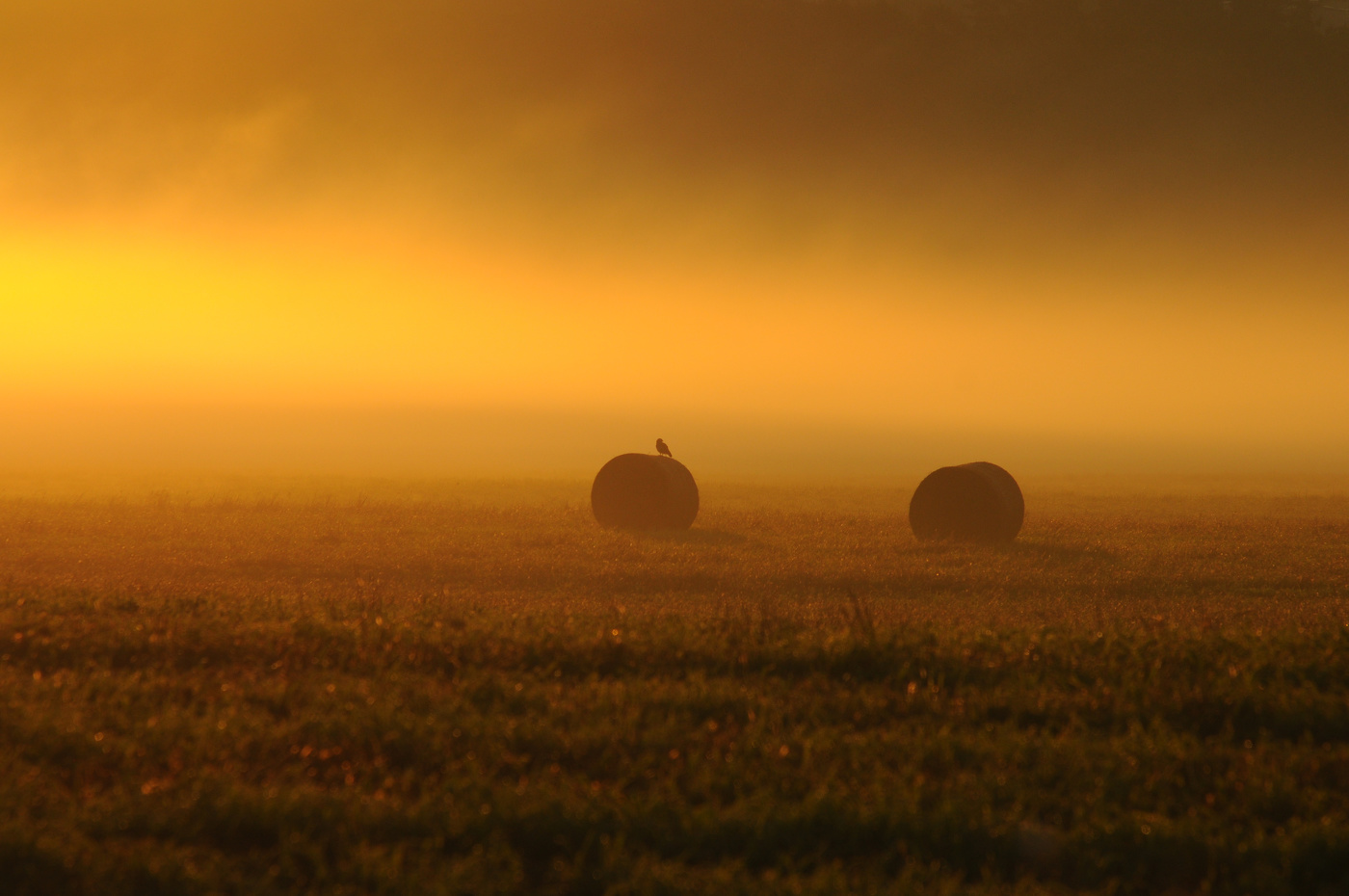 Встречающий рассвет