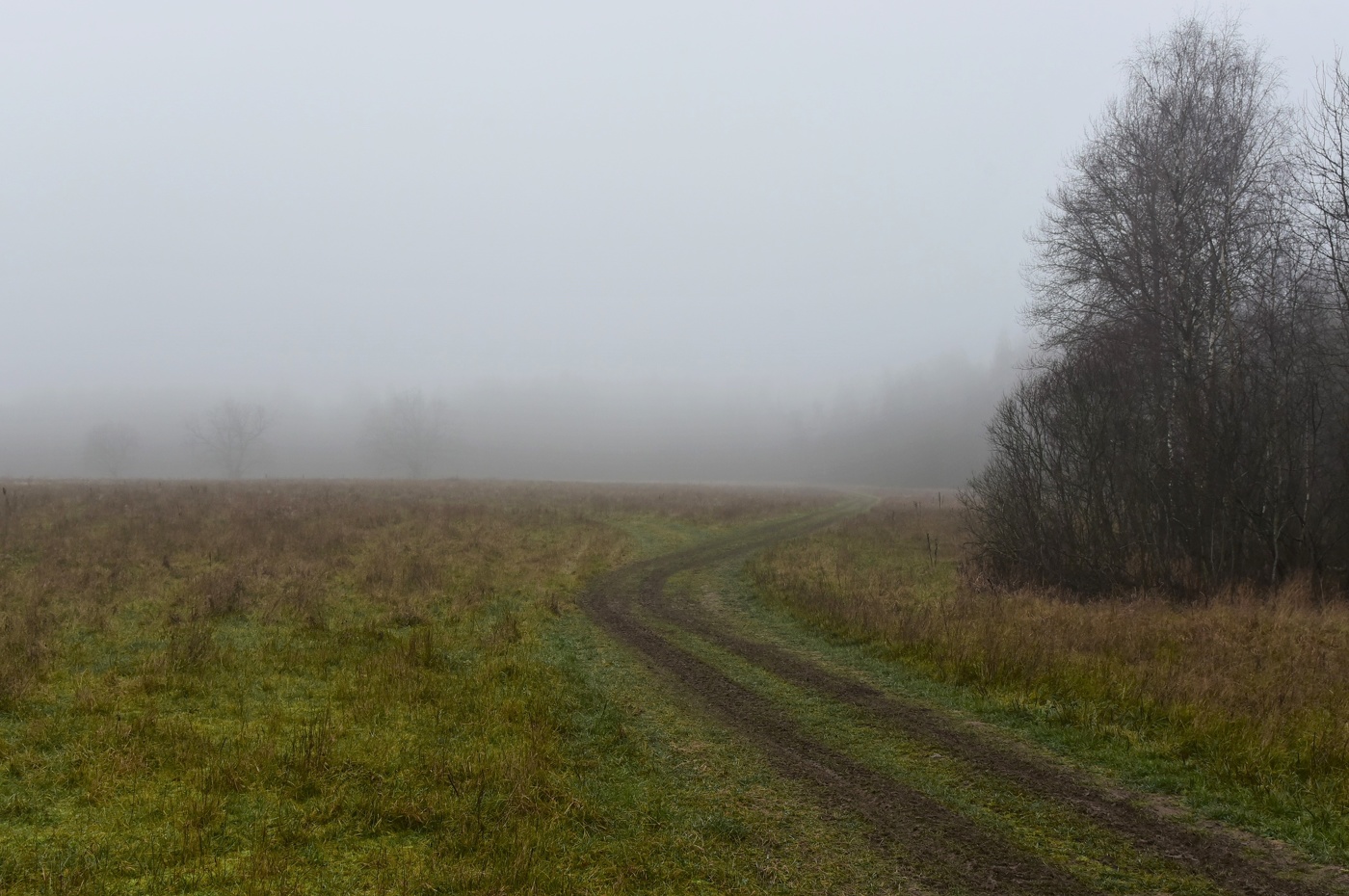 "Ложатся по утрам туманы, а на виски ложится седина..."