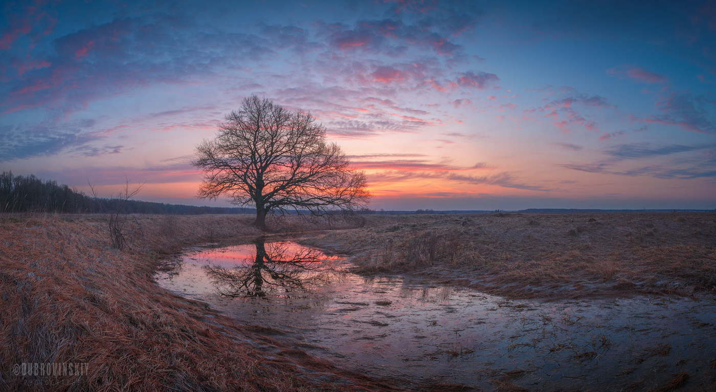 Апрельская акварель