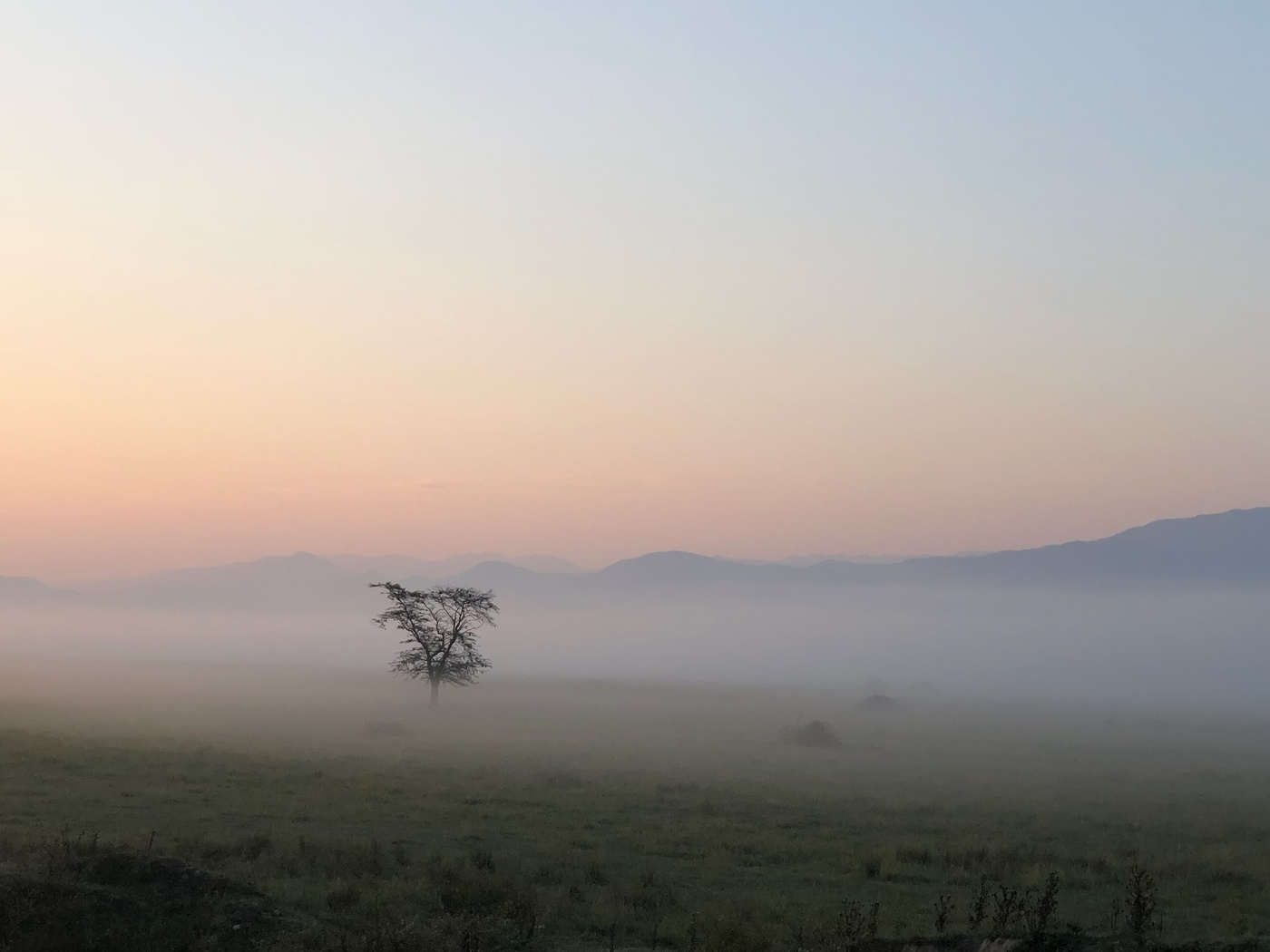 Раннее утро