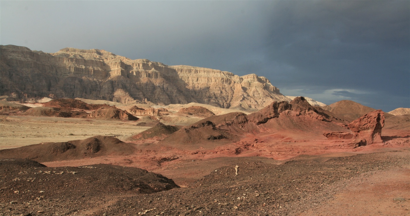 Из "марсианского" дневника