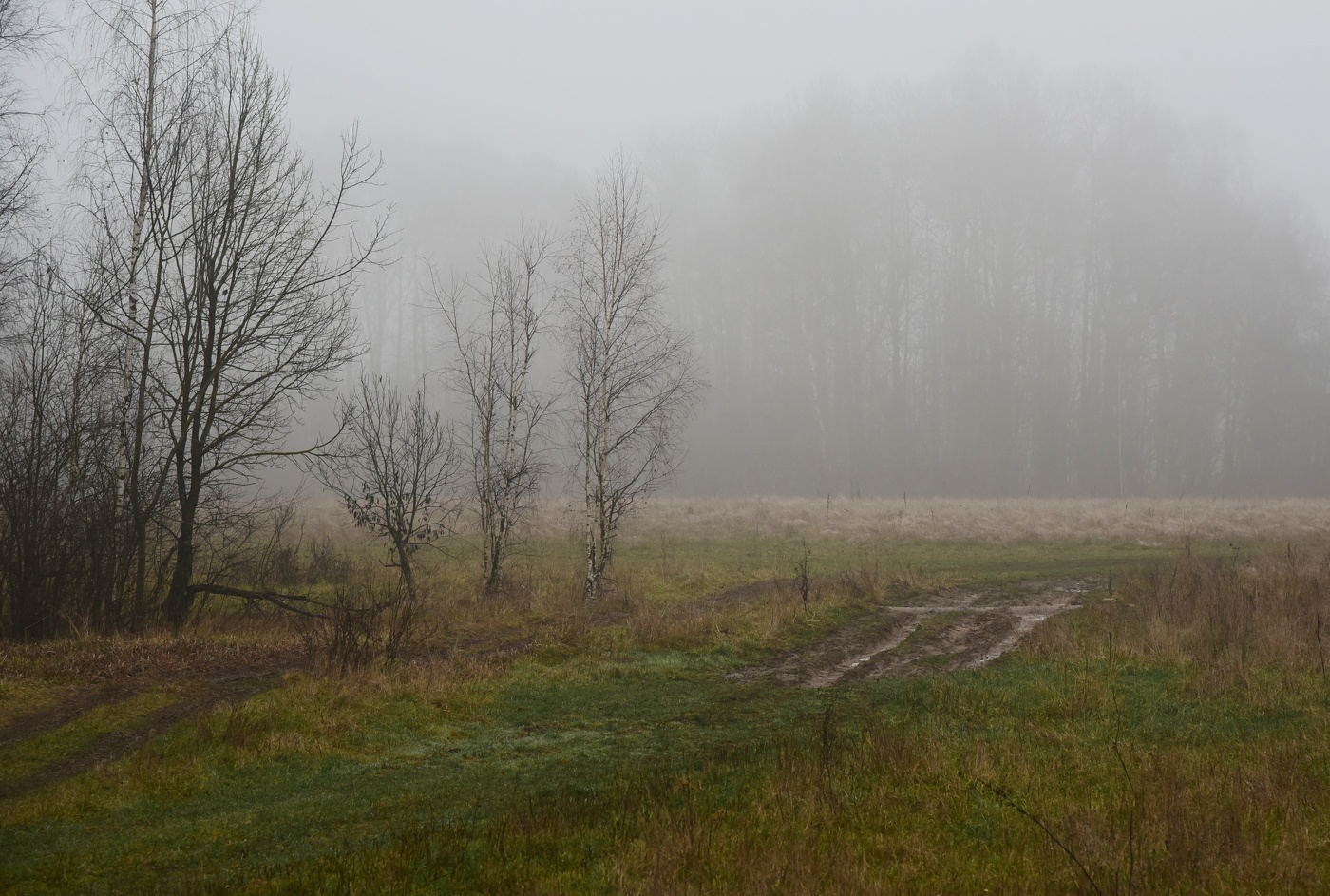 "Туманная серая сырость, как впалость болезненных щек..."