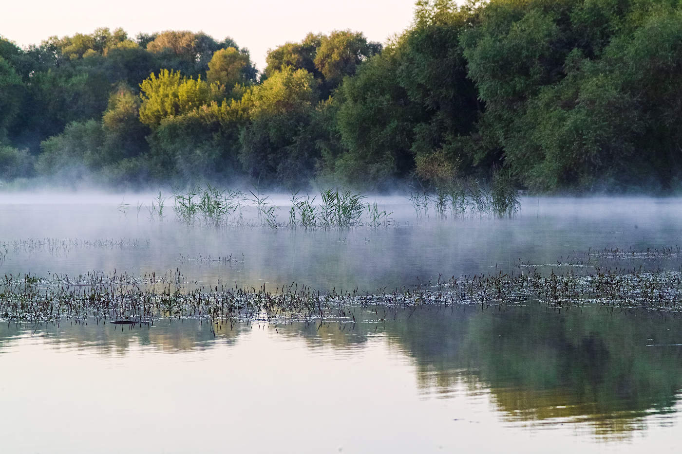 Утреннее дыхание