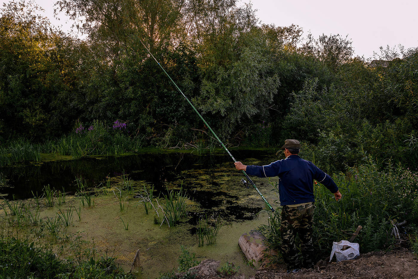 Старый пруд...