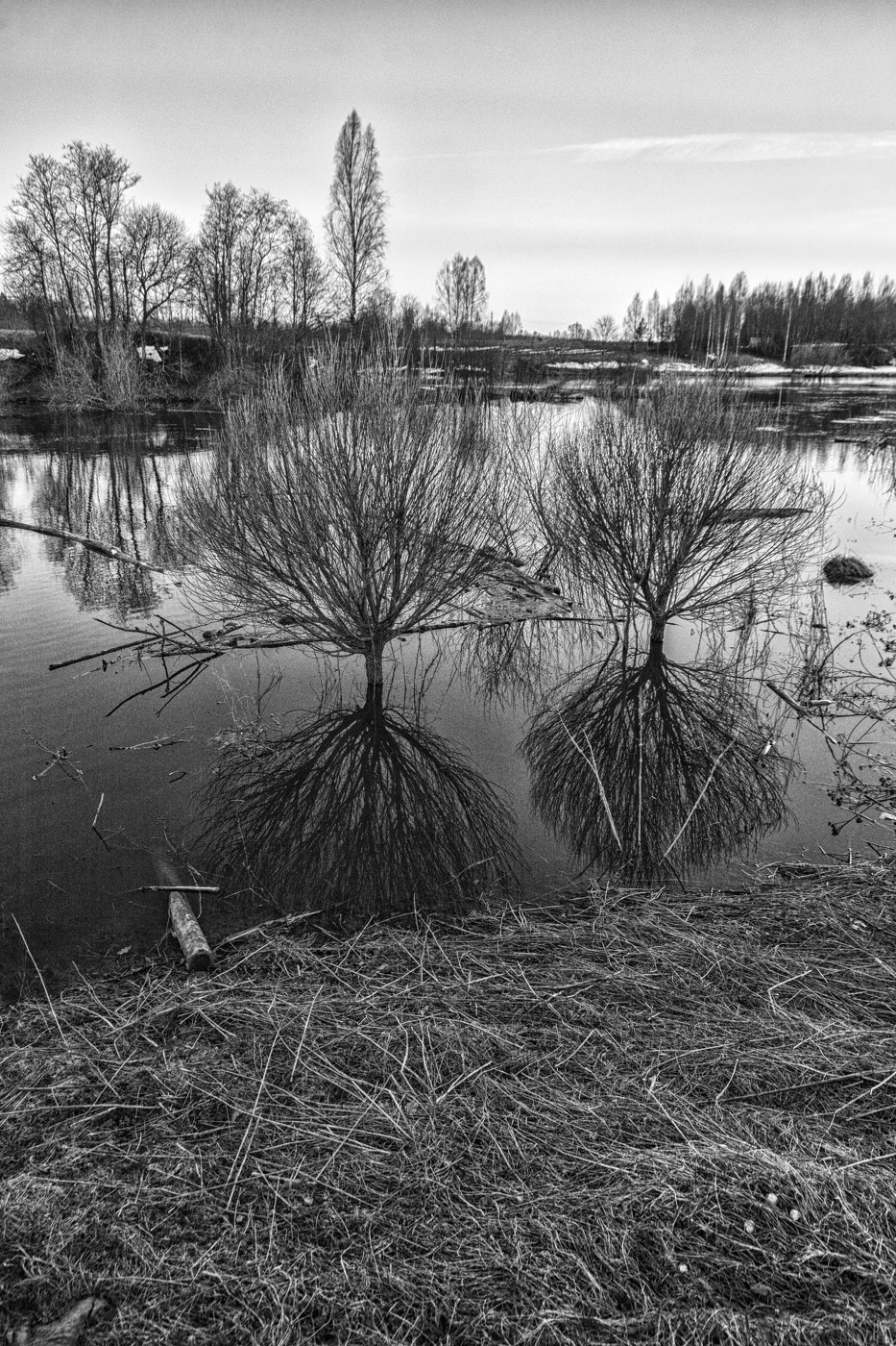 Жизнь вокруг