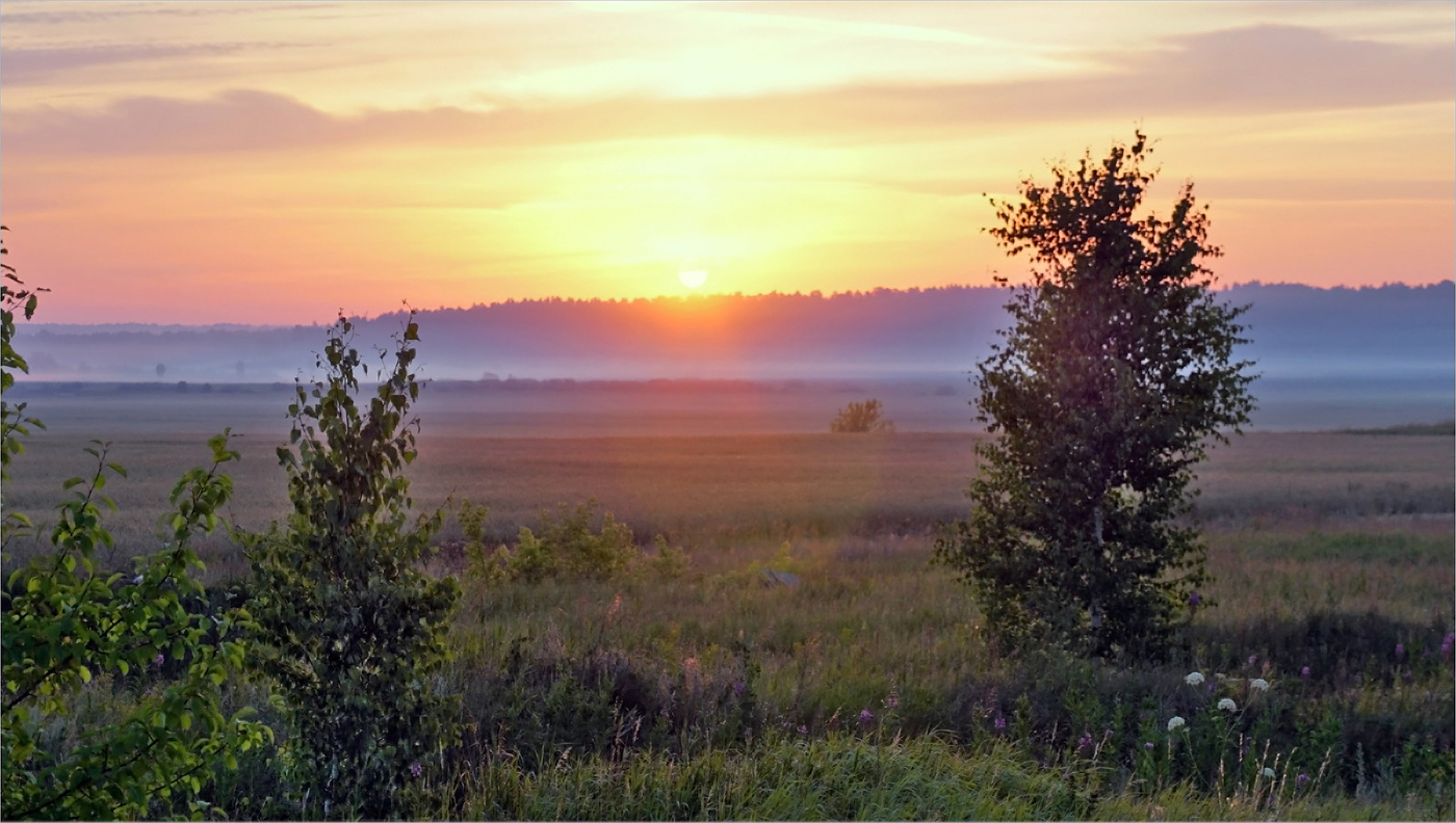 Однажды утром