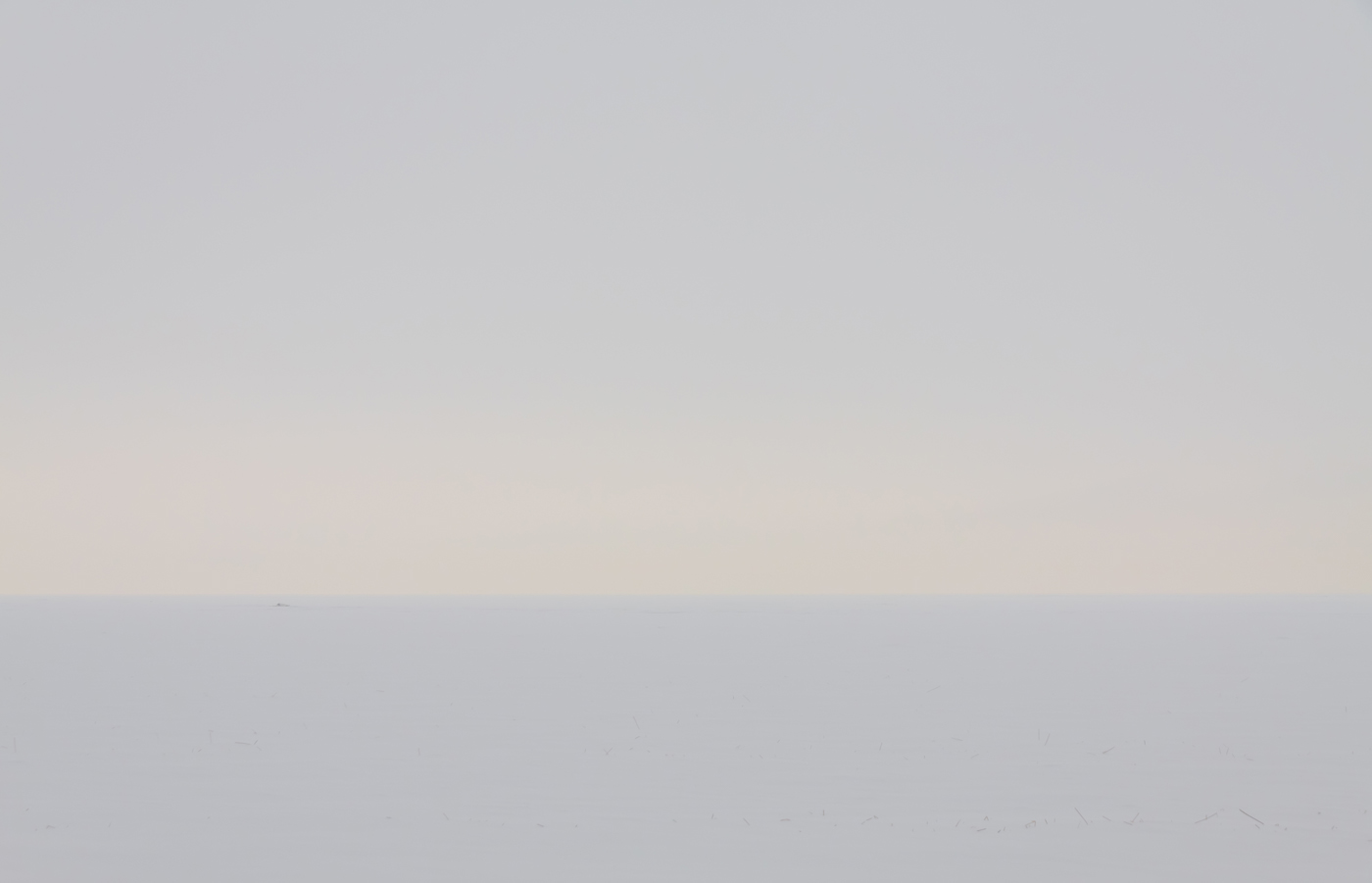 Абсолютный простор. Зима на Финском заливе.