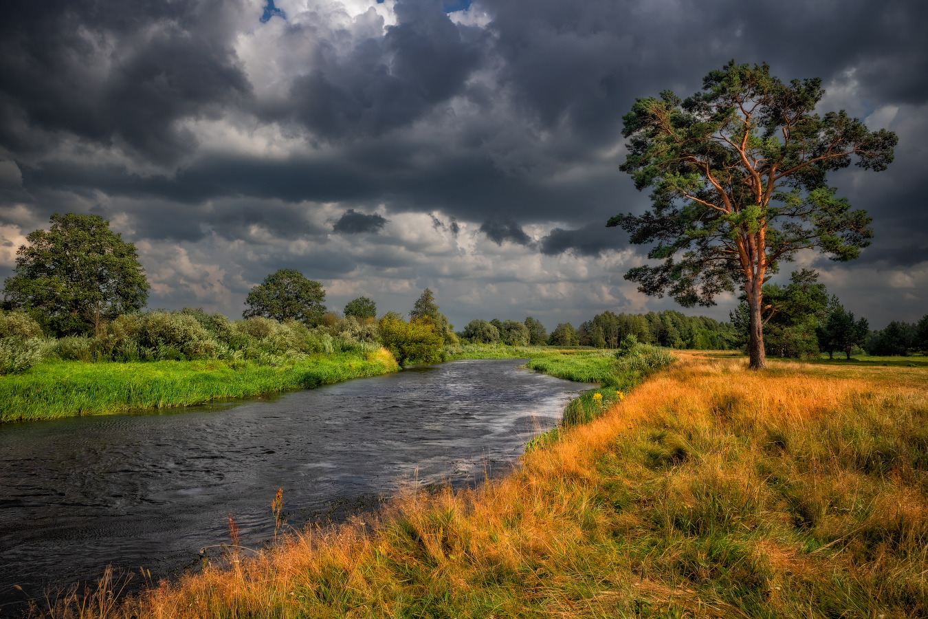 Ненастно на берегу Немана