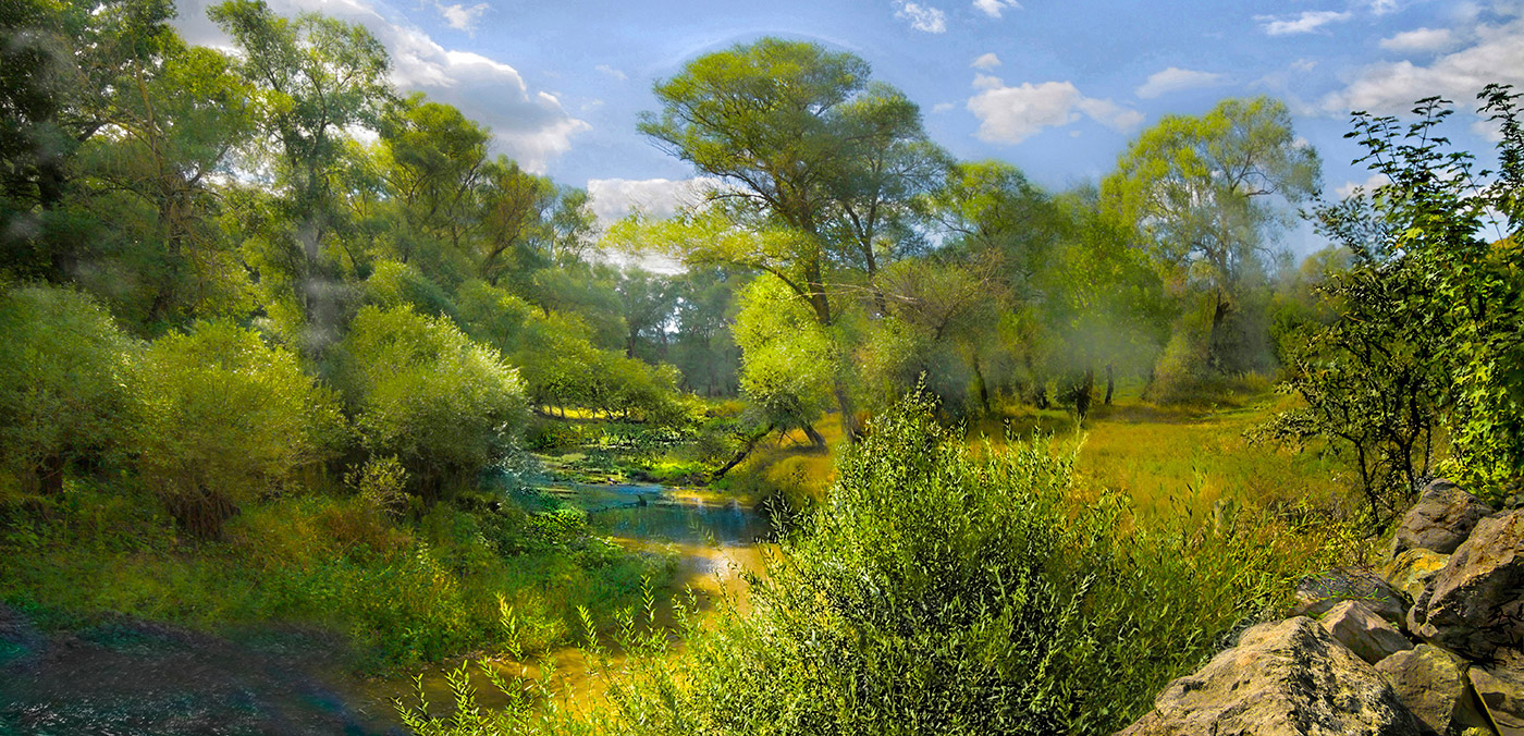 Солнечные зайчики