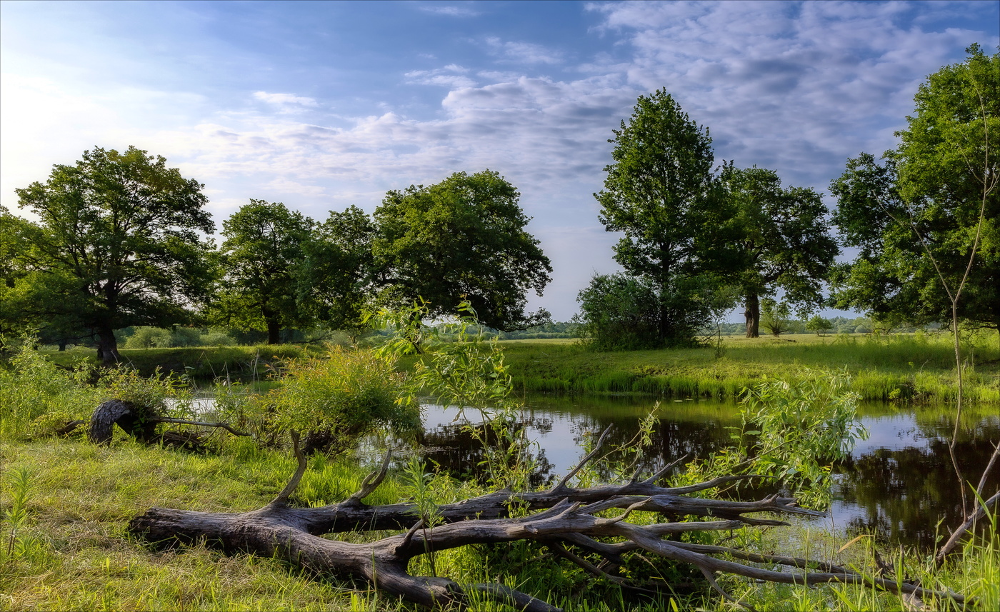 Тихое утро.