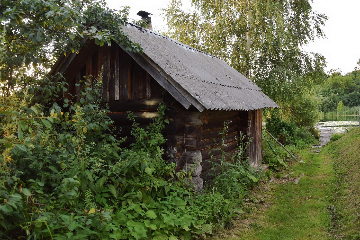 Банька моя ( летний вариант)