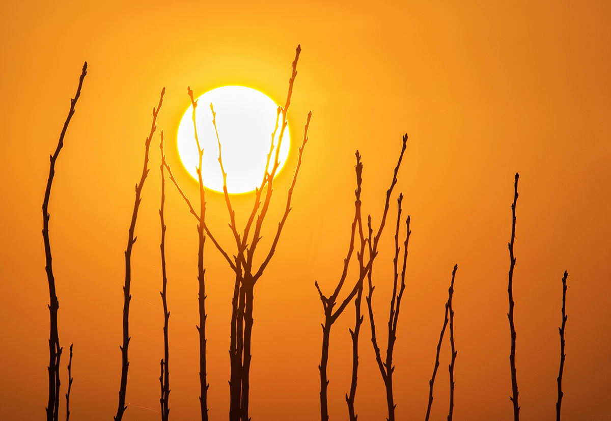 Движение вверх