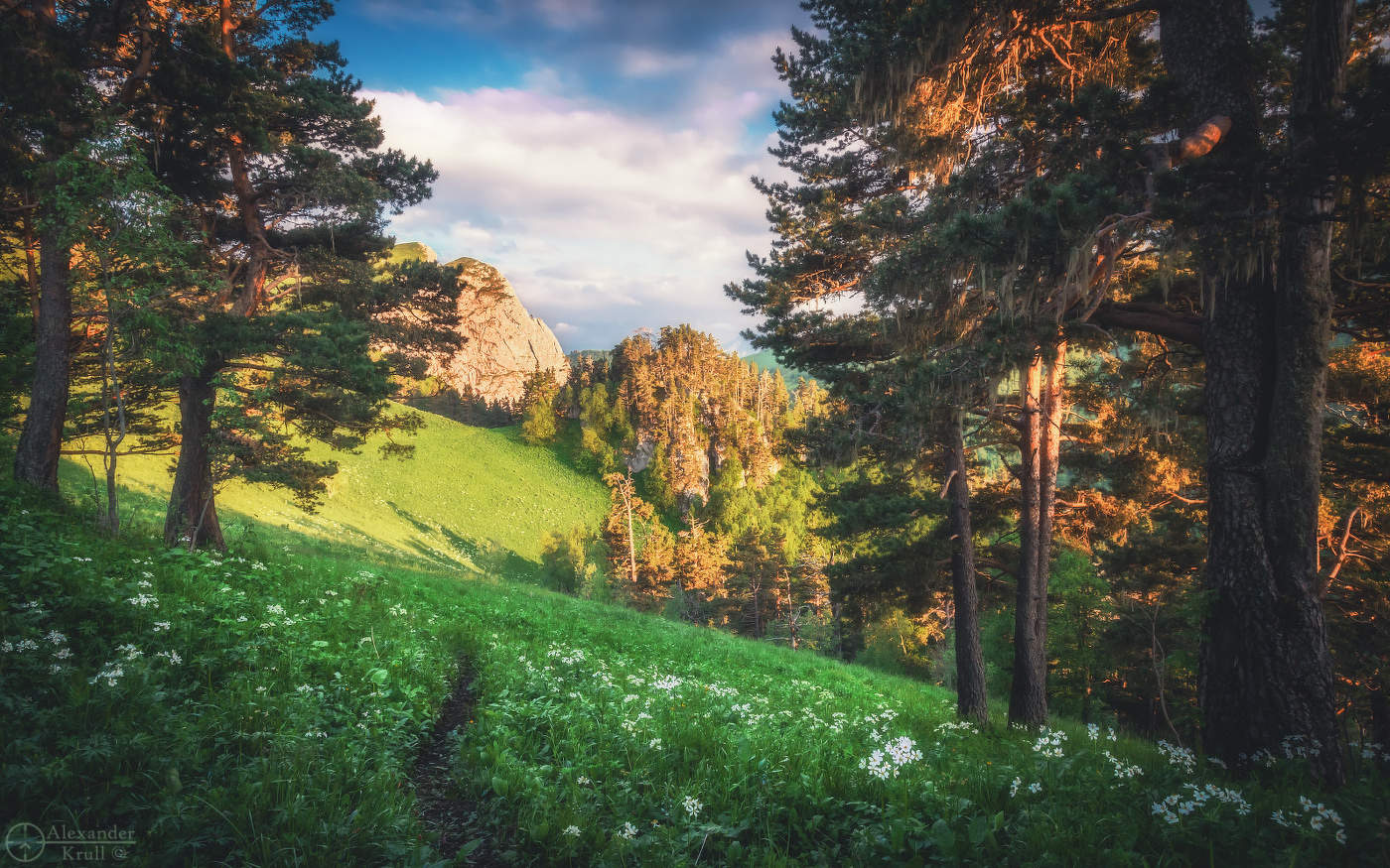 Запутался вечер в соснах