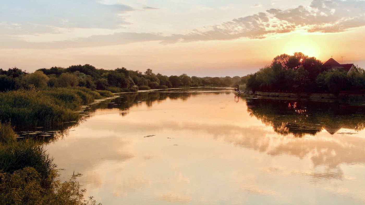 Когда стихают птицы