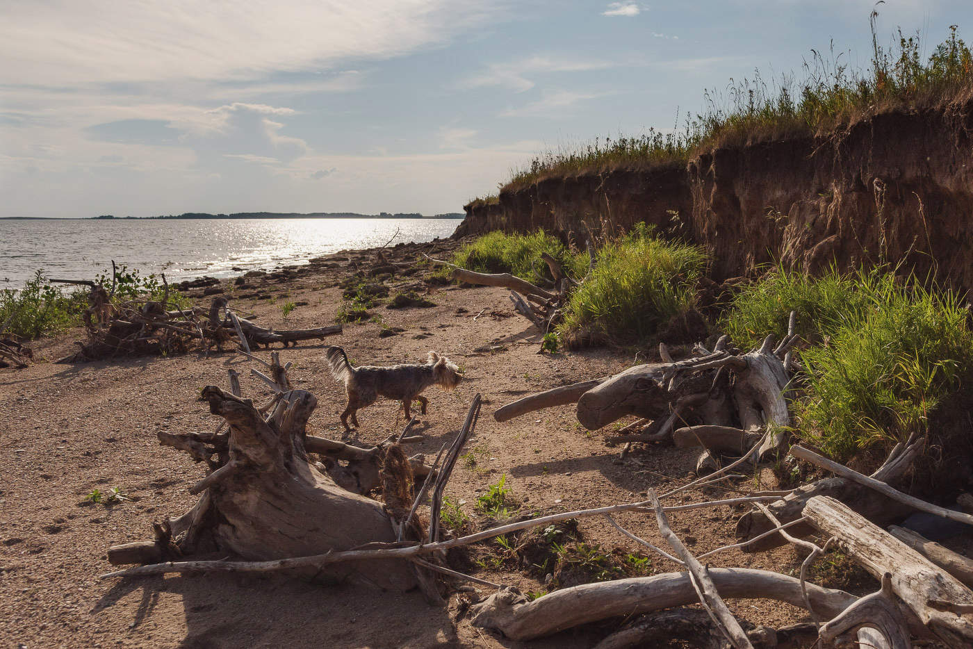 Берег "скелетов"