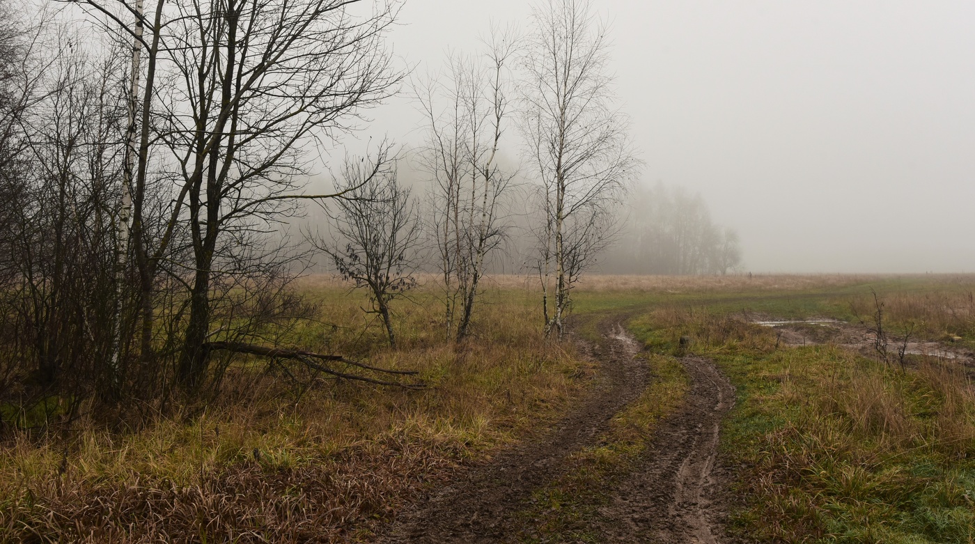 Поздняя осень ...