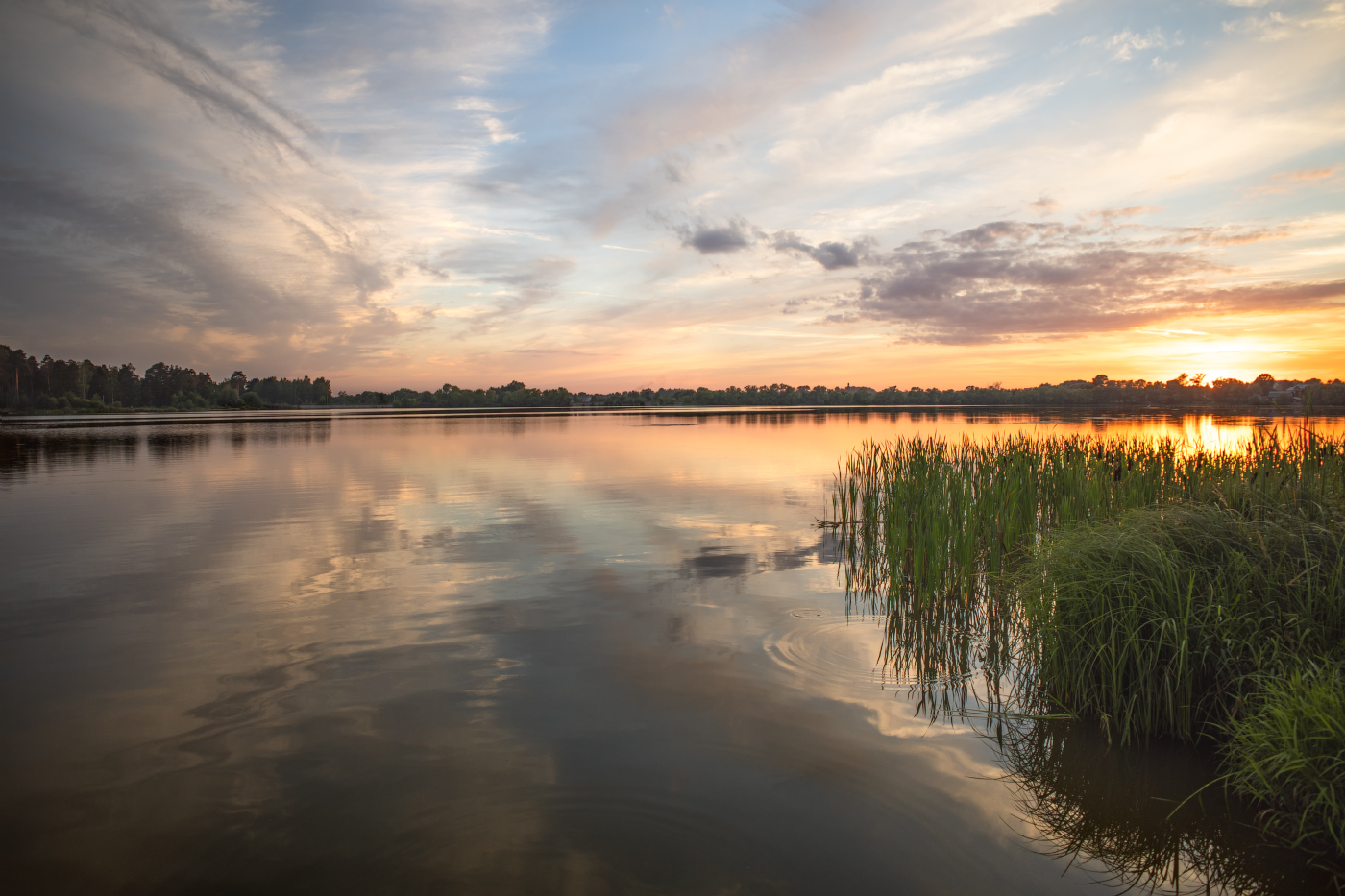 вечер рисует