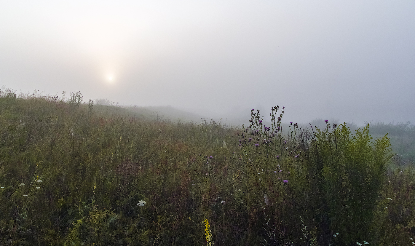 Солнце с горки поднималось