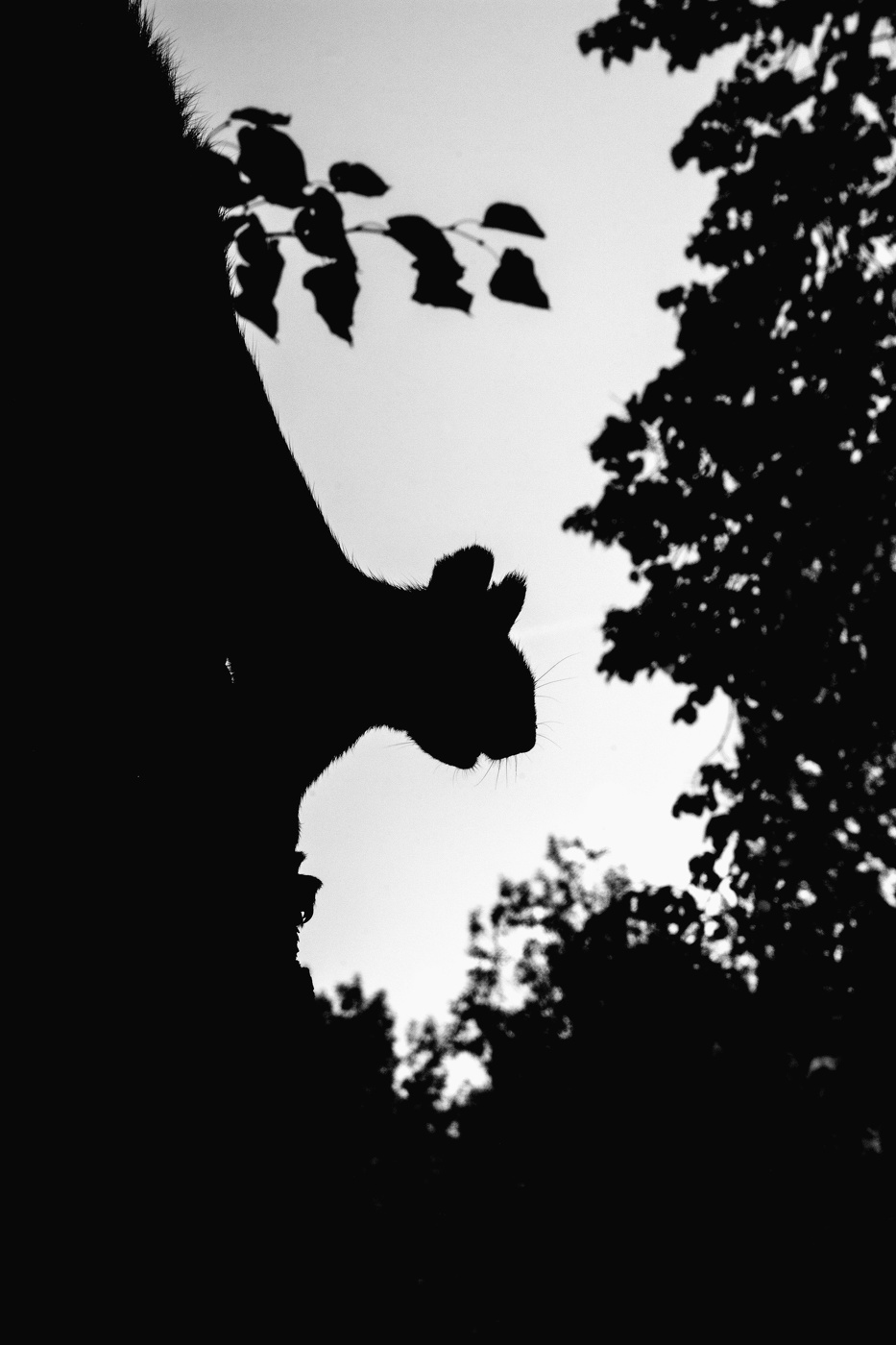 Жизнь вокруг