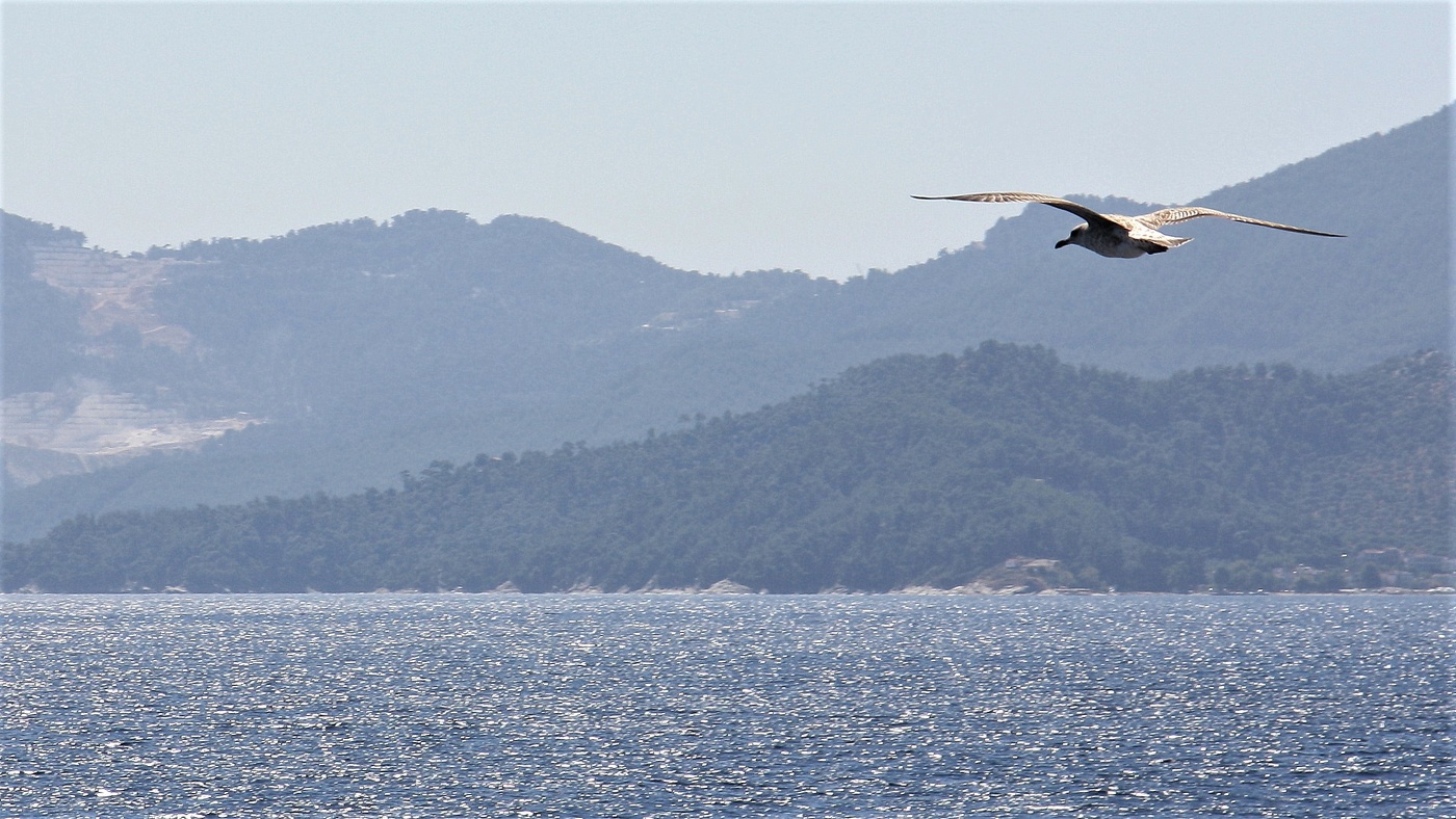 Одиночество...