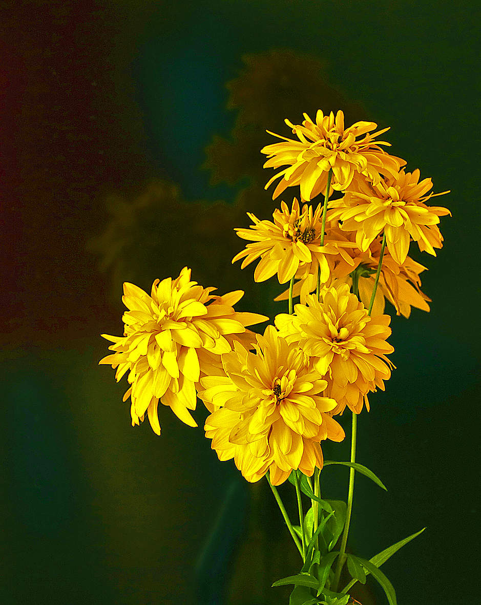 Августовский букет