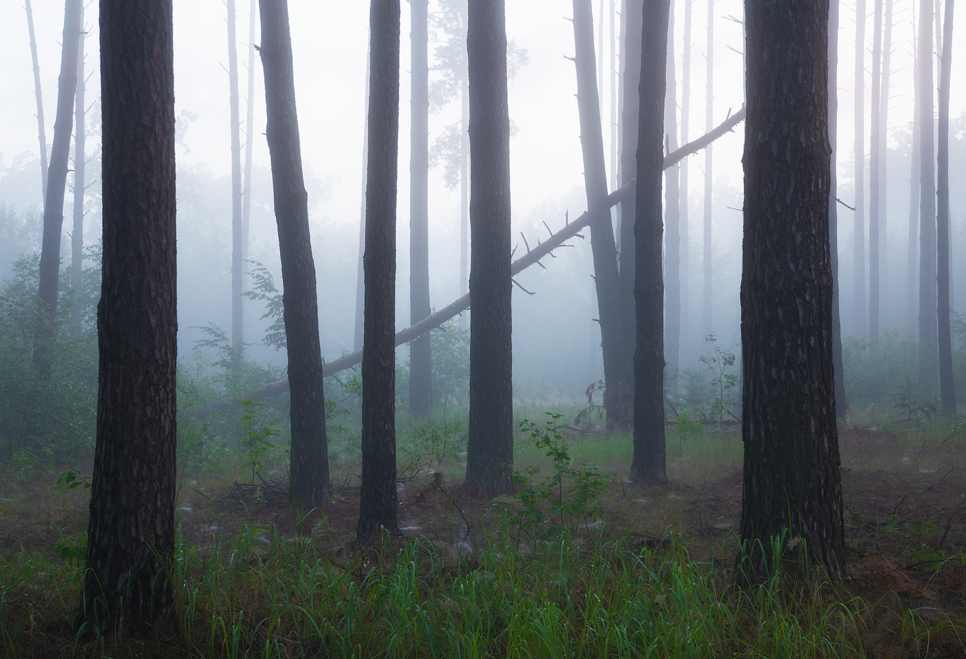 Скоро рассвет