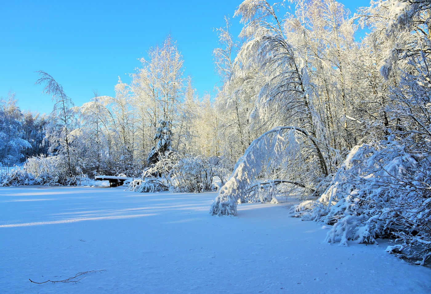 "Вечор, ты помнишь, вьюга злилась ..."