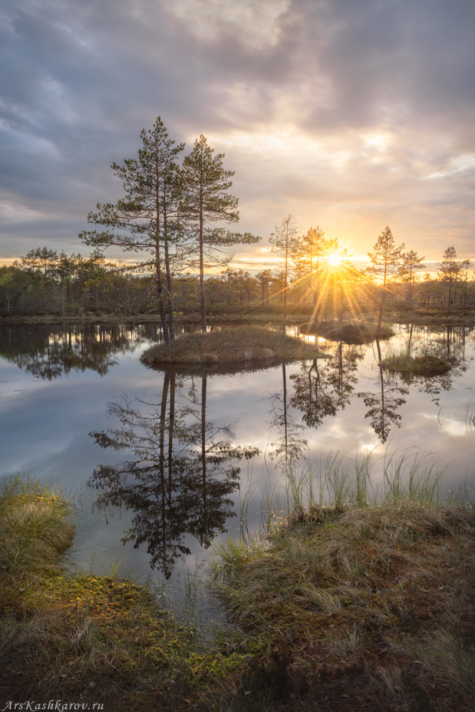 "Болотный перфекционизм"