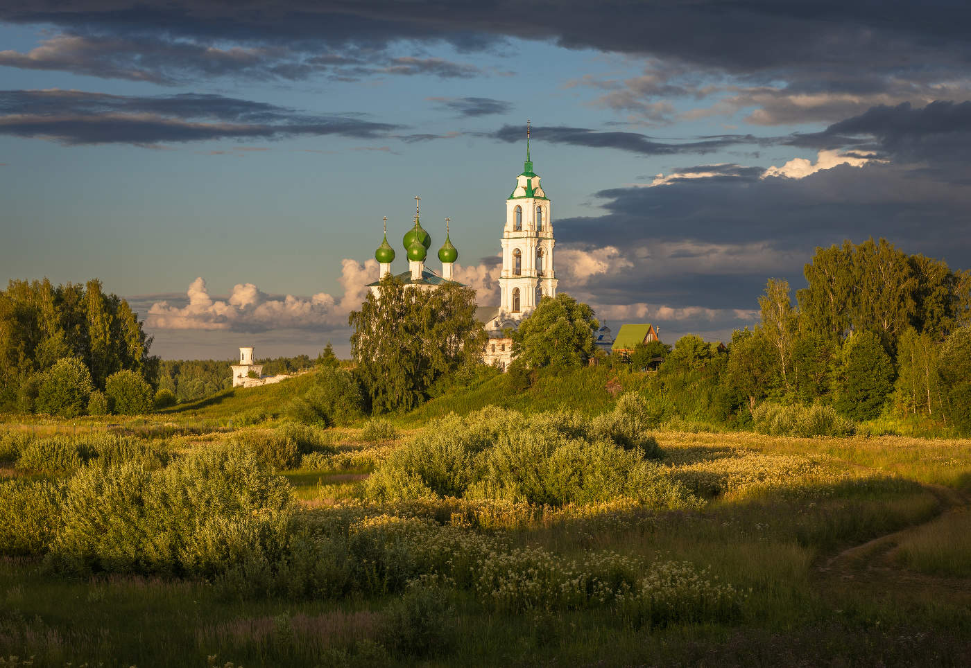 Лето в Диево
