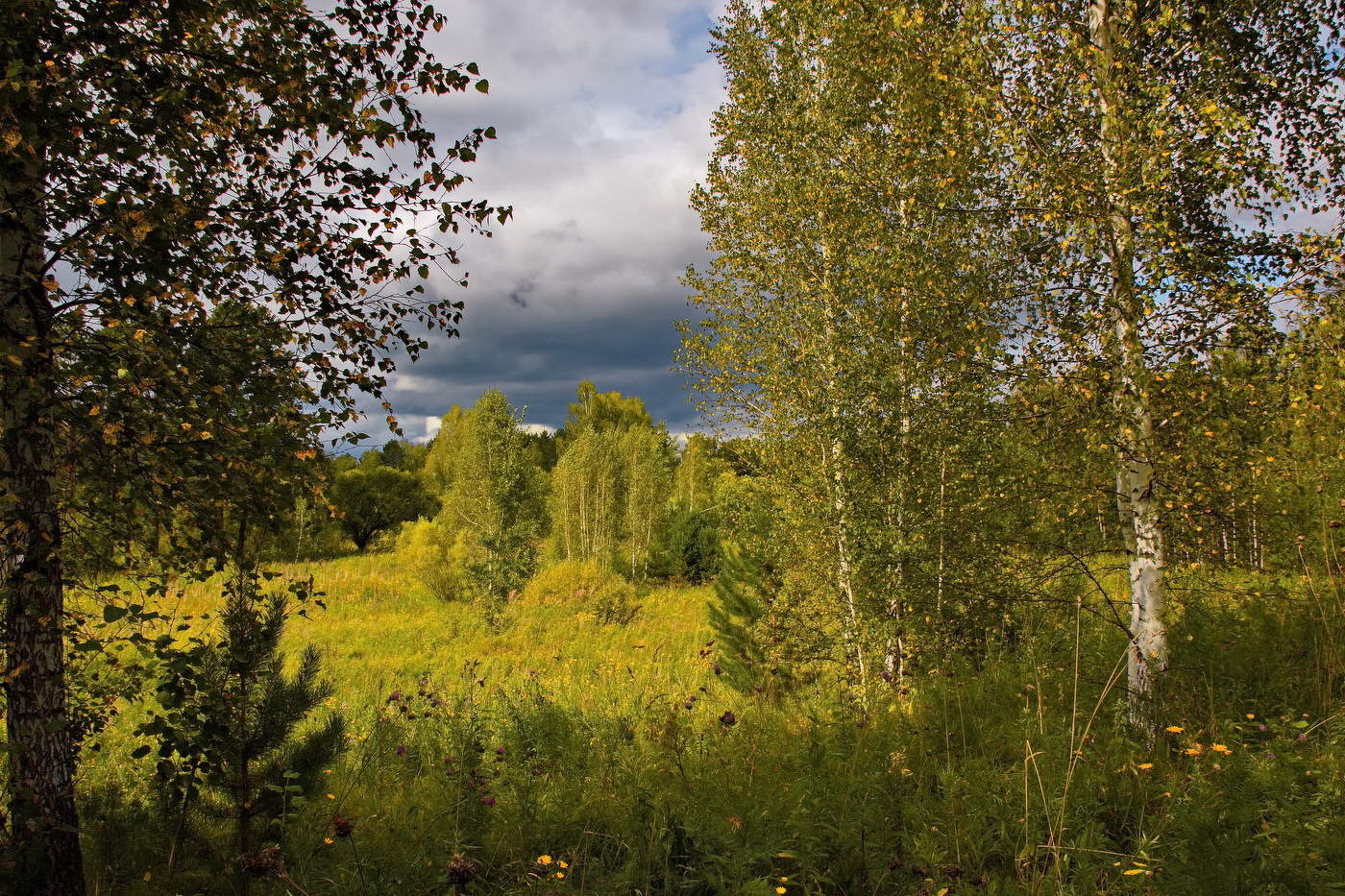 *Августовским днём.**