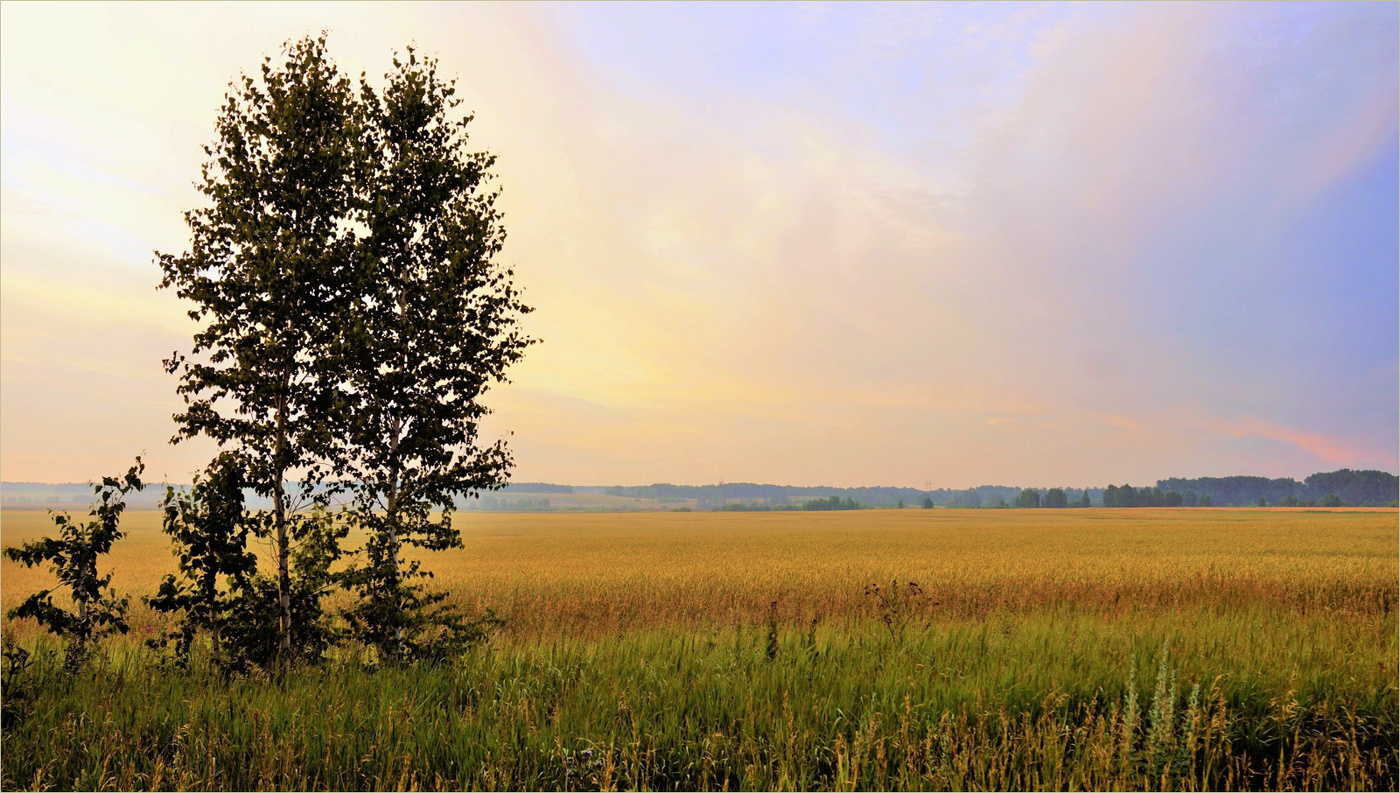 Здесь Отчизна моя...