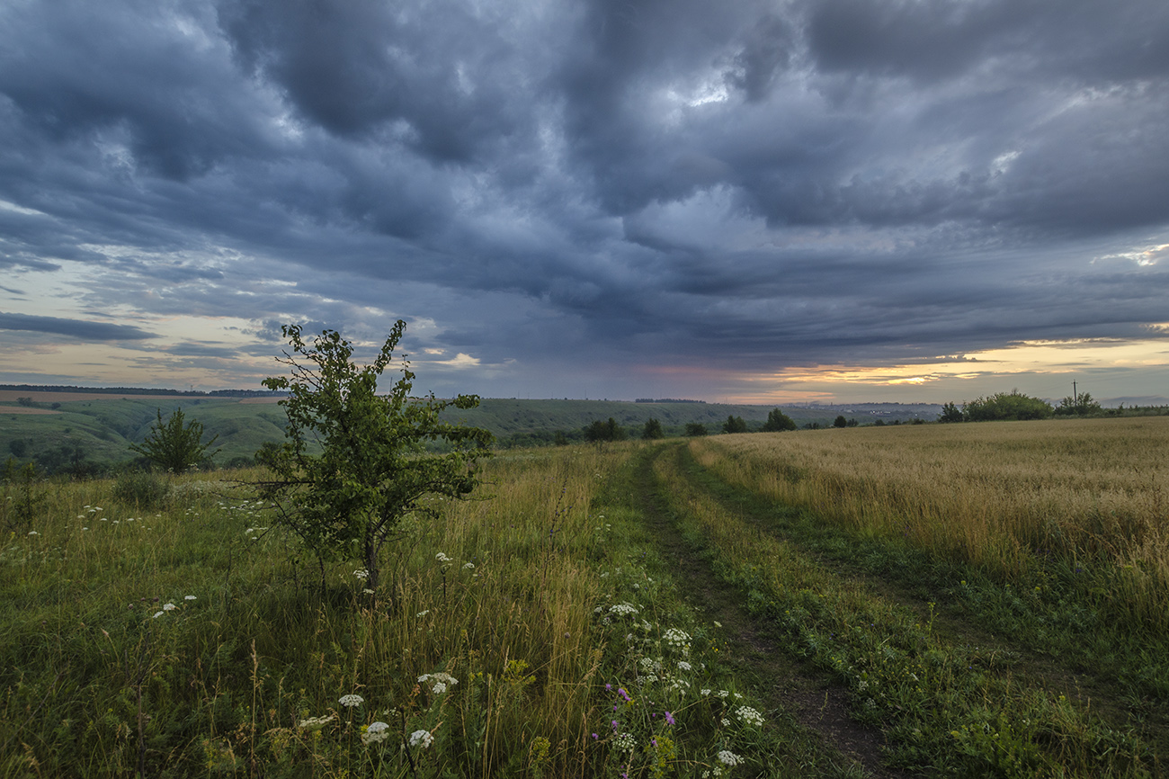 Грозовой рассвет. Черепянь