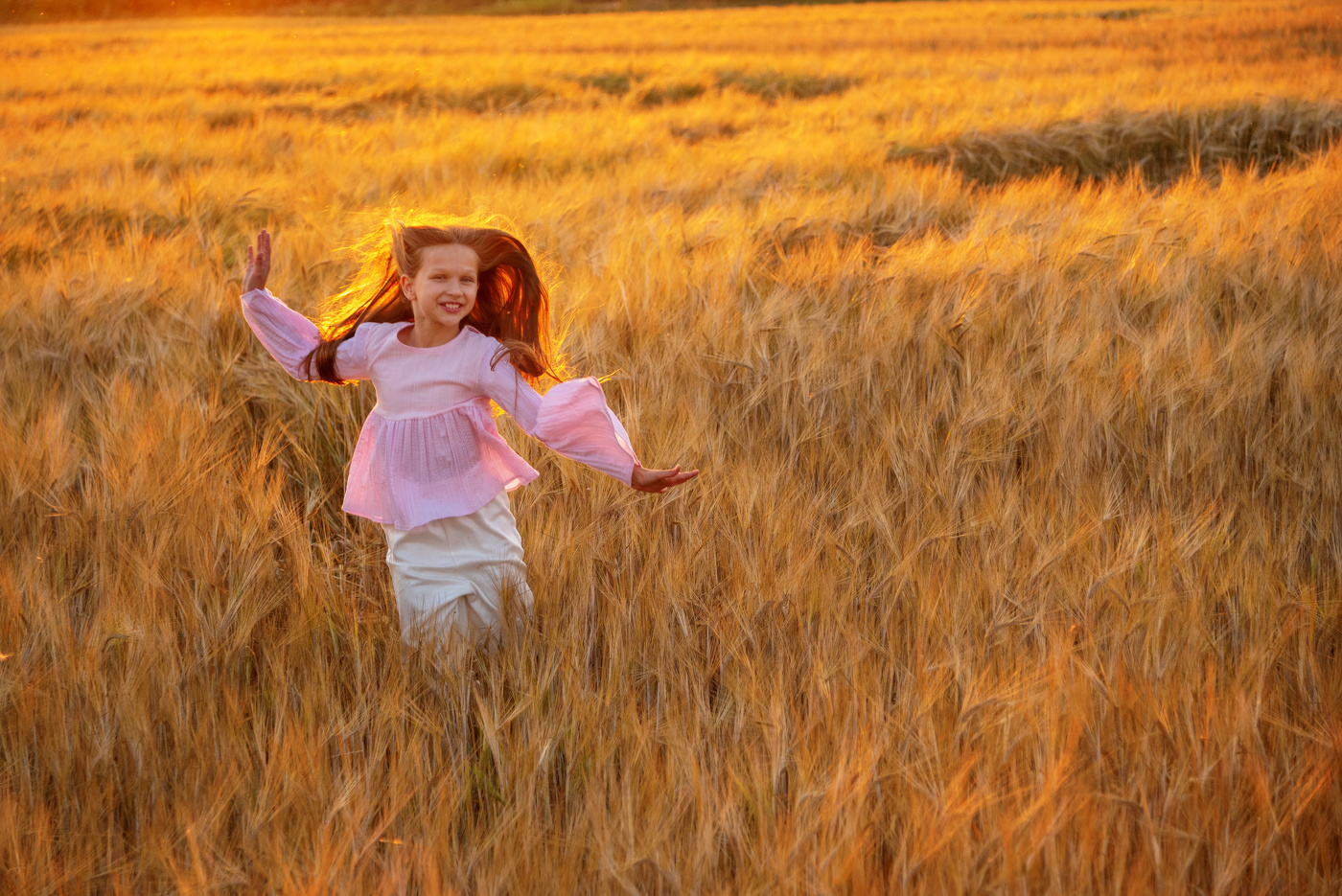 Поле с колосьями