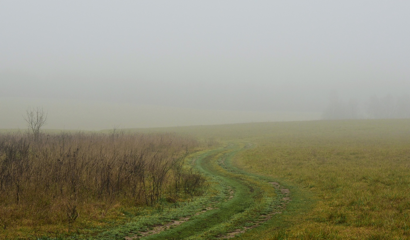 "Люблю туман. Как под вуалью скрывает день свои черты..."