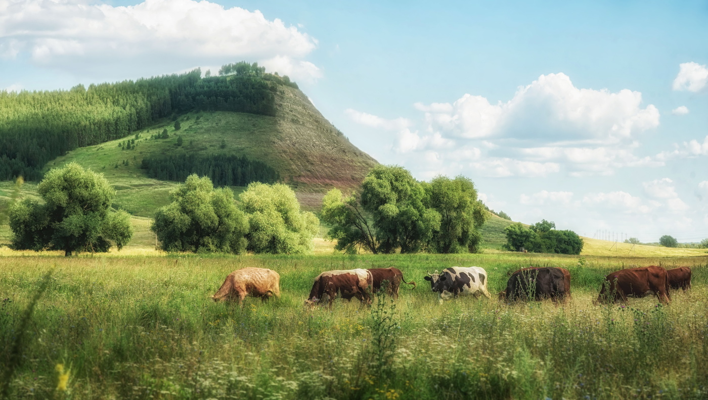За Усенькой